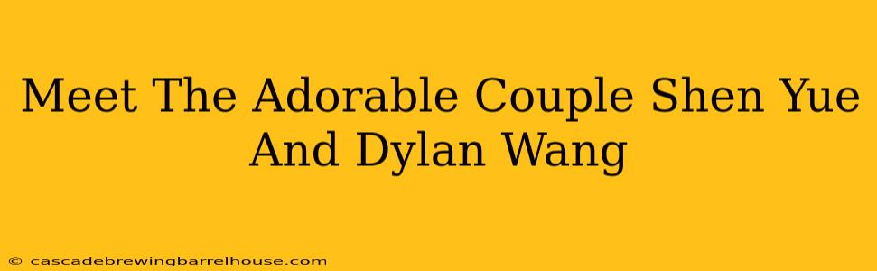 Meet The Adorable Couple Shen Yue And Dylan Wang
