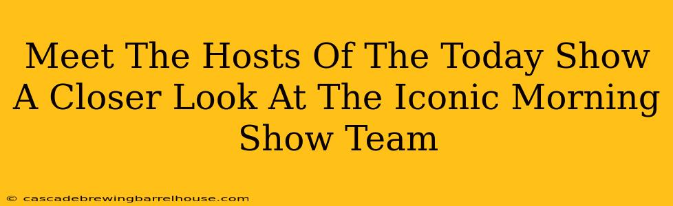 Meet The Hosts Of The Today Show A Closer Look At The Iconic Morning Show Team