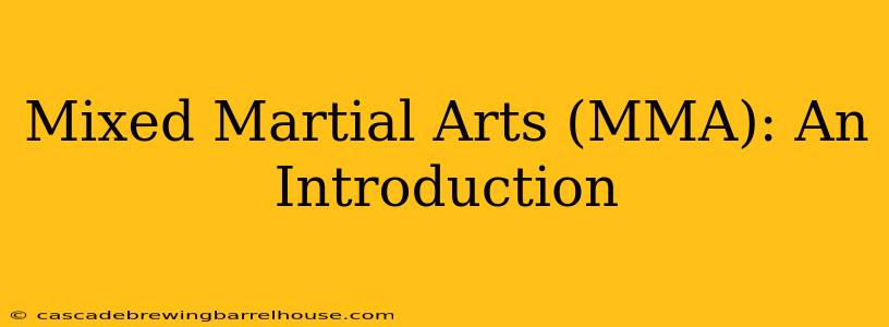 Mixed Martial Arts (MMA): An Introduction