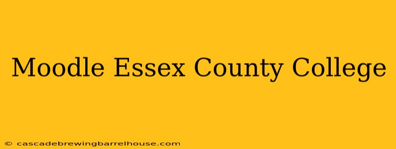 Moodle Essex County College