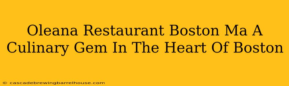 Oleana Restaurant Boston Ma A Culinary Gem In The Heart Of Boston