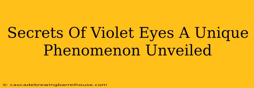 Secrets Of Violet Eyes A Unique Phenomenon Unveiled