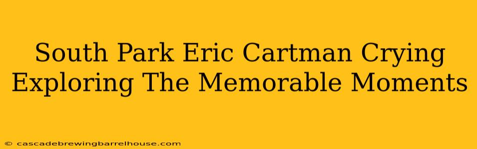 South Park Eric Cartman Crying Exploring The Memorable Moments