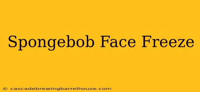 Spongebob Face Freeze