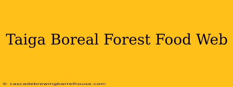 Taiga Boreal Forest Food Web