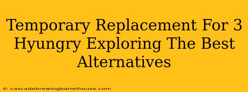 Temporary Replacement For 3 Hyungry Exploring The Best Alternatives