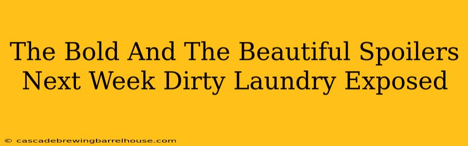 The Bold And The Beautiful Spoilers Next Week Dirty Laundry Exposed