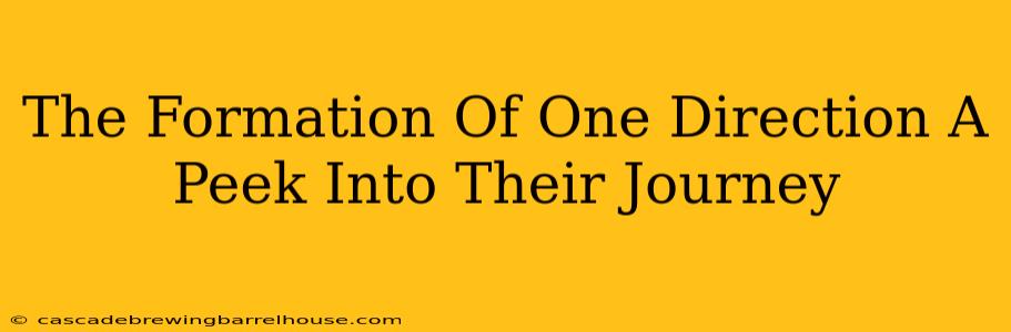 The Formation Of One Direction A Peek Into Their Journey
