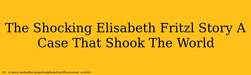 The Shocking Elisabeth Fritzl Story A Case That Shook The World