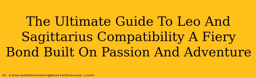 The Ultimate Guide To Leo And Sagittarius Compatibility A Fiery Bond Built On Passion And Adventure