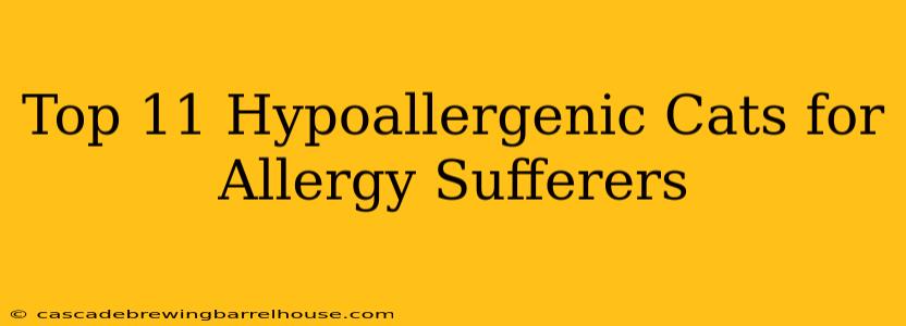 Top 11 Hypoallergenic Cats for Allergy Sufferers