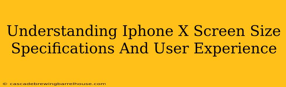 Understanding Iphone X Screen Size Specifications And User Experience