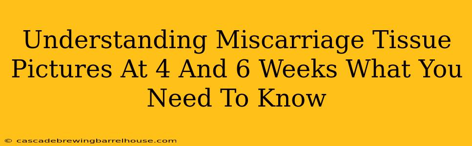 Understanding Miscarriage Tissue Pictures At 4 And 6 Weeks What You Need To Know