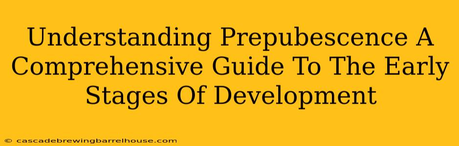 Understanding Prepubescence A Comprehensive Guide To The Early Stages Of Development