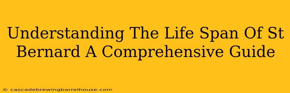 Understanding The Life Span Of St Bernard A Comprehensive Guide