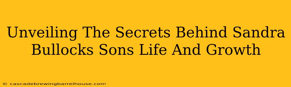 Unveiling The Secrets Behind Sandra Bullocks Sons Life And Growth