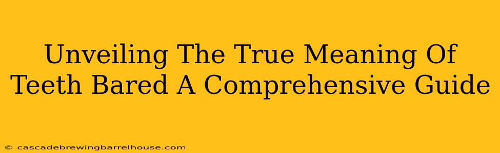 Unveiling The True Meaning Of Teeth Bared A Comprehensive Guide