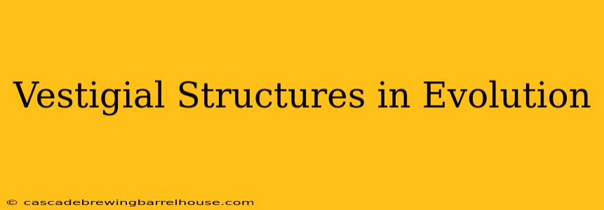 Vestigial Structures in Evolution