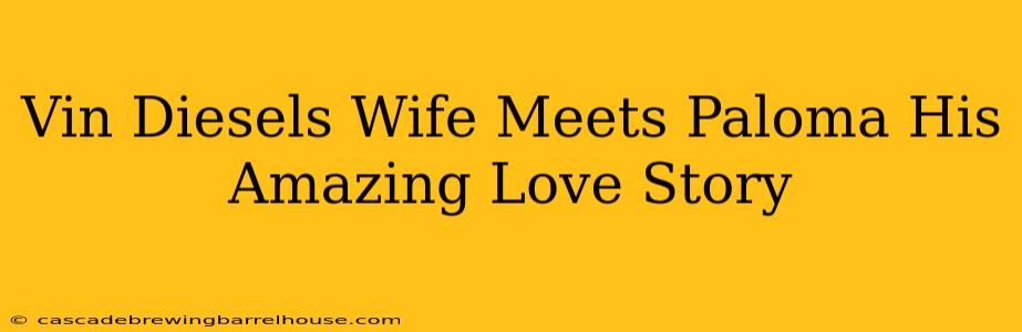 Vin Diesels Wife Meets Paloma His Amazing Love Story