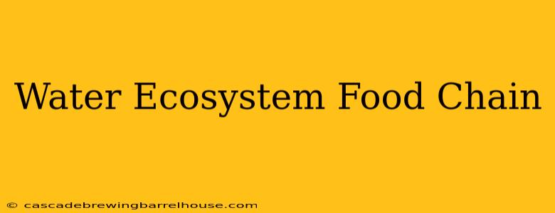 Water Ecosystem Food Chain