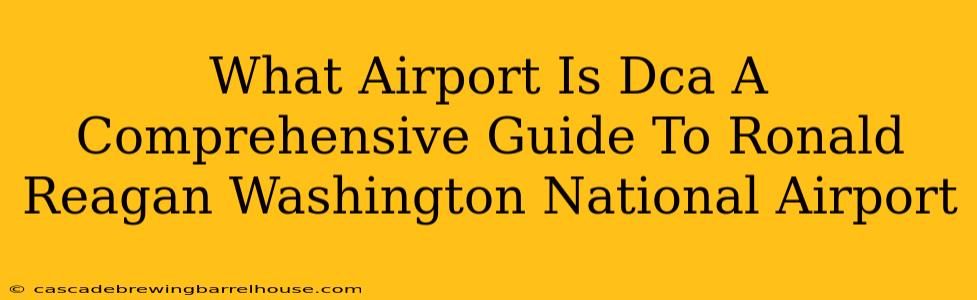 What Airport Is Dca A Comprehensive Guide To Ronald Reagan Washington National Airport