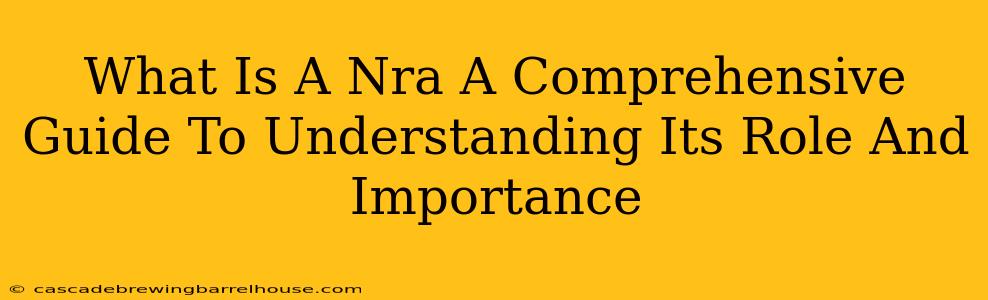 What Is A Nra A Comprehensive Guide To Understanding Its Role And Importance