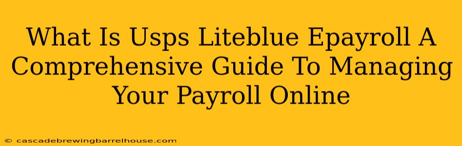 What Is Usps Liteblue Epayroll A Comprehensive Guide To Managing Your Payroll Online