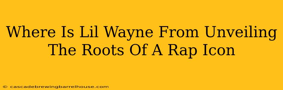 Where Is Lil Wayne From Unveiling The Roots Of A Rap Icon