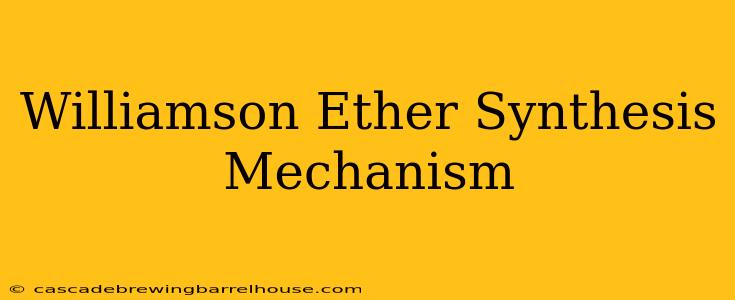 Williamson Ether Synthesis Mechanism