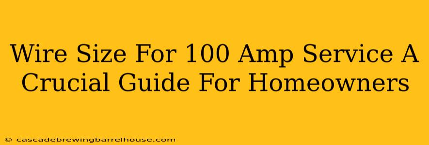 Wire Size For 100 Amp Service A Crucial Guide For Homeowners