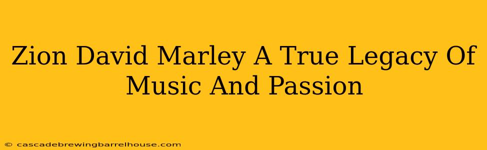 Zion David Marley A True Legacy Of Music And Passion